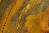 Marra Mamba Tigers Eye - Mt Brockman ( Billion Years) #117193-1